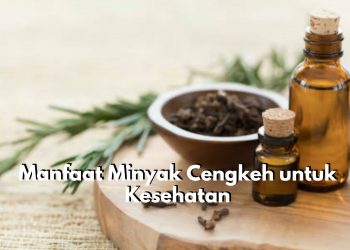 Tak Banyak yang Tahu! Kenali 10 Bukti Nyata Khasiat Minyak Cengkeh untuk Kesehatan, Cakap Atasi Sakit Perut