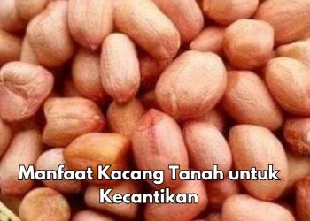 Mencegah Penuaan Dini, Ini Manfaat Lain Makan Kacang Tanah Sehari-hari, Baik untuk Kecantikan Kulit