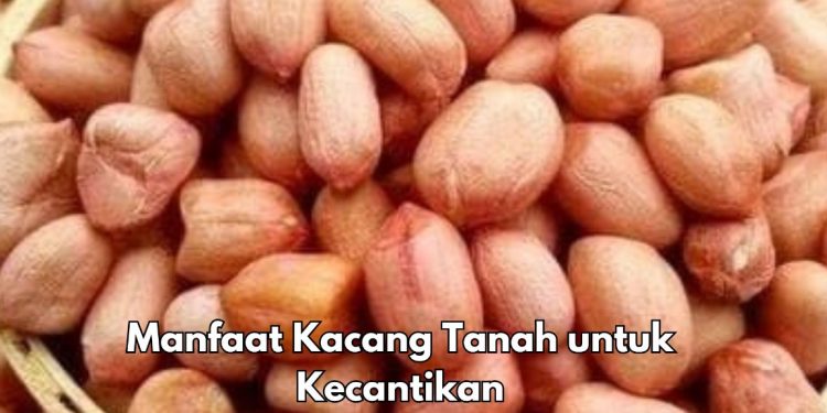 Mencegah Penuaan Dini, Ini Manfaat Lain Makan Kacang Tanah Sehari-hari, Baik untuk Kecantikan Kulit
