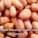 Mencegah Penuaan Dini, Ini Manfaat Lain Makan Kacang Tanah Sehari-hari, Baik untuk Kecantikan Kulit