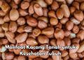 Aman untuk Tubuh, Ini 6 Manfaat Kacang Tanah yang Perlu Diketahui, Ampuh Mendukung Fungsi Otak