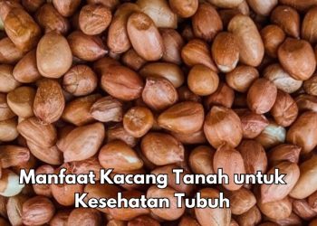 Aman untuk Tubuh, Ini 6 Manfaat Kacang Tanah yang Perlu Diketahui, Ampuh Mendukung Fungsi Otak