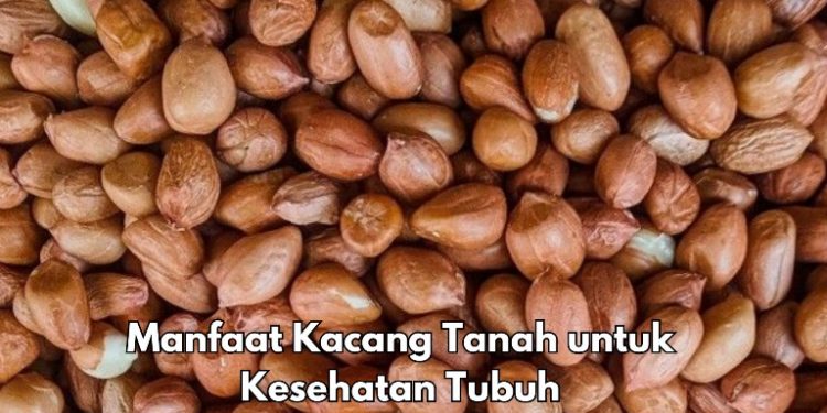 Aman untuk Tubuh, Ini 6 Manfaat Kacang Tanah yang Perlu Diketahui, Ampuh Mendukung Fungsi Otak