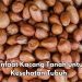 Aman untuk Tubuh, Ini 6 Manfaat Kacang Tanah yang Perlu Diketahui, Ampuh Mendukung Fungsi Otak