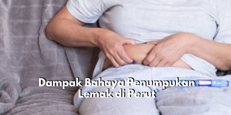 Kenali Mulai dari Sekarang! Ini Dia 6 Dampak Bahaya Penumpukan Lemak di Perut, Jangan Biarkan Begitu Saja