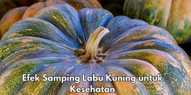 Ini 5 Efek Samping Labu Kuning bagi Kesehatan, Salah Satunya Dapat Sebabkan Vitamin A Berlebihan