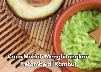 Masker Alpukat Bisa Menghilangkan Kerombe di Rambut, Cek Cara Membuat Disini