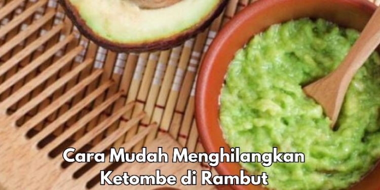 Masker Alpukat Bisa Menghilangkan Kerombe di Rambut, Cek Cara Membuat Disini