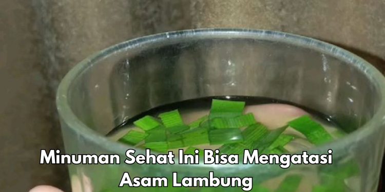 5 Minuman Ini Bisa Mengatasi Asam Lambung, Cek Cara Membuat di Sini!