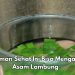 5 Minuman Ini Bisa Mengatasi Asam Lambung, Cek Cara Membuat di Sini!