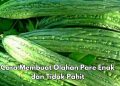 Cara Simpel Bikin Pare Lebih Enak dan Tidak Pahit, Ikuti Langkah Ini