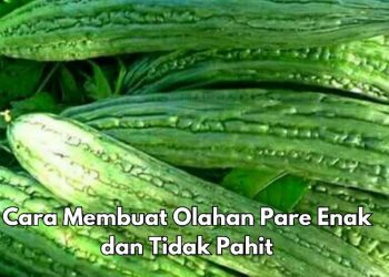 Cara Simpel Bikin Pare Lebih Enak dan Tidak Pahit, Ikuti Langkah Ini