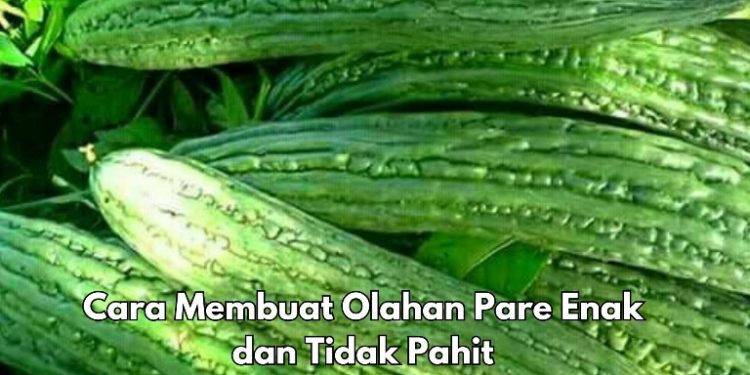 Cara Simpel Bikin Pare Lebih Enak dan Tidak Pahit, Ikuti Langkah Ini
