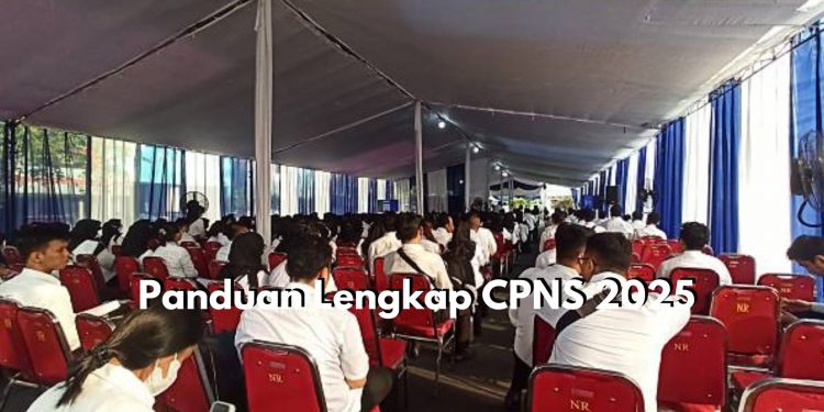 Peluang Emas untuk Lulusan SMA/D3/S1! Cek Disini Panduan Lengkap CPNS 2025, Berikut Cara Daftar dan Syaratnya