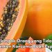 Hati-hati, Ibu Hamil Tidak Disarankan Konsumsi Buah Pepaya, Cek Kelompok Lainnya di Sini