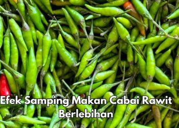 Cek Efek Samping Lainnya Cabai Rawit di Sini, Bisa Meningkatkan Asam Lambung