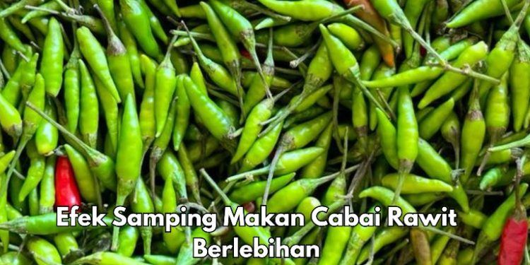 Cek Efek Samping Lainnya Cabai Rawit di Sini, Bisa Meningkatkan Asam Lambung