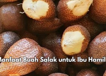 7 Manfaat Konsumsi Buah Salak bagi Bumil, Dipercaya Dapat Menjaga Kesehatan Tulang