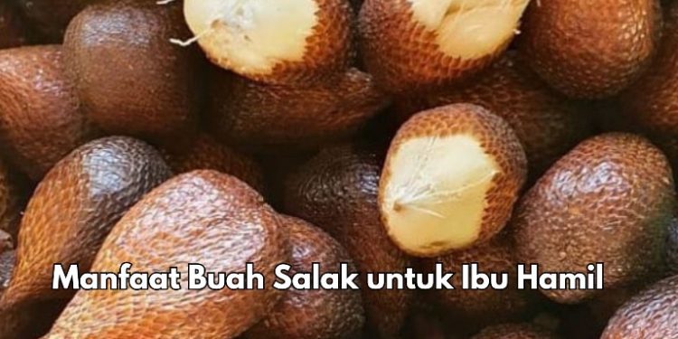 7 Manfaat Konsumsi Buah Salak bagi Bumil, Dipercaya Dapat Menjaga Kesehatan Tulang