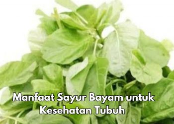Manfaat Lain Konsumsi Sayur Bayam Sehari-hari, Bisa Menjaga Kesehatan Tulang