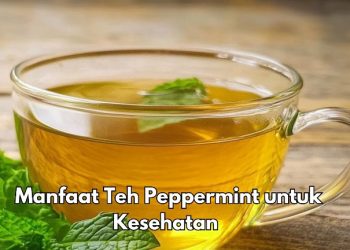 Cek di Sini, 6 Manfaat Konsumsi Teh Peppemint bagi Tubuh, Bisa Meningkatkan Kualitas Tidur