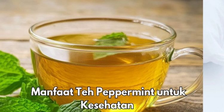 Cek di Sini, 6 Manfaat Konsumsi Teh Peppemint bagi Tubuh, Bisa Meningkatkan Kualitas Tidur