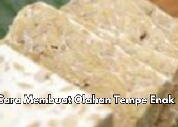 Cara Membuat Masakan Olahan Tempe Enak dan Lezat, Cek di Sini