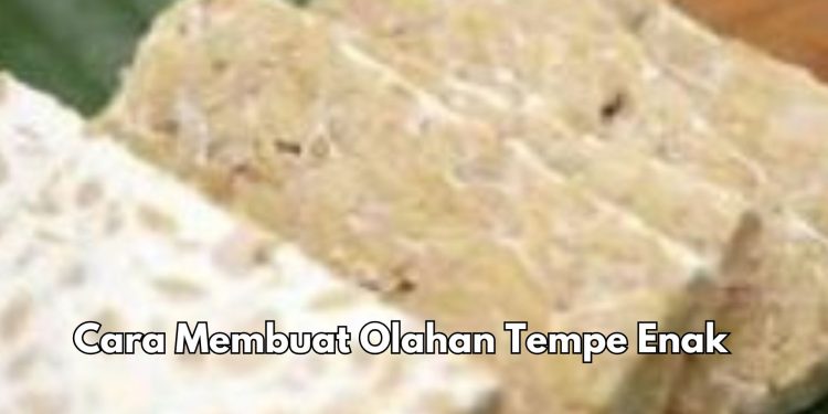 Cara Membuat Masakan Olahan Tempe Enak dan Lezat, Cek di Sini