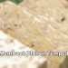 Cara Membuat Masakan Olahan Tempe Enak dan Lezat, Cek di Sini