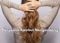 Rambut Mengembang Tentu Ada Penyebabnya, Yuk Kenali Mulai dari Sekarang!