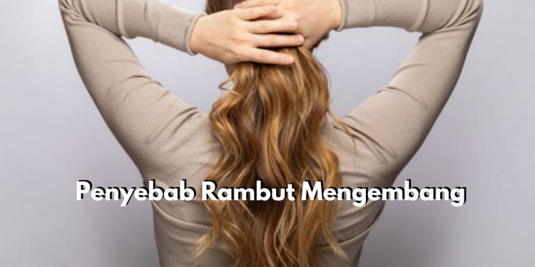 Rambut Mengembang Tentu Ada Penyebabnya, Yuk Kenali Mulai dari Sekarang!