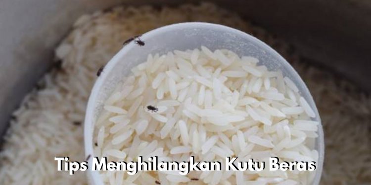 Kutu Beras Mengganggu Kualitas Beras? Ini Tips Menghilangkannya dengan Bawang Putih
