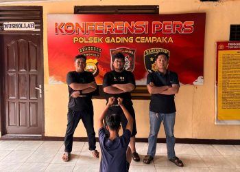 Maling Dua Ekor Ayam Bangkok Philippines, Pemuda di Kota Bengkulu Terancam Bui