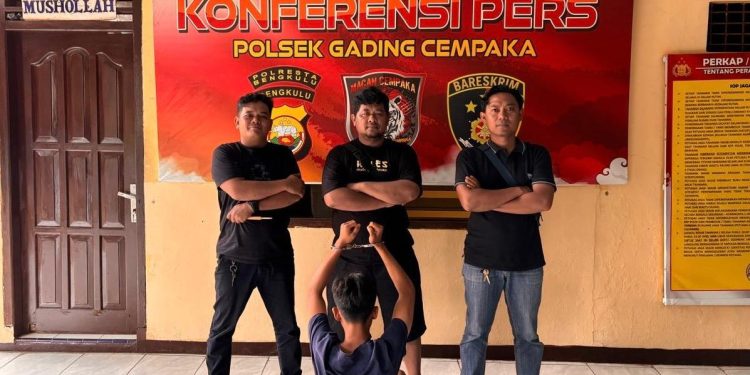 Maling Dua Ekor Ayam Bangkok Philippines, Pemuda di Kota Bengkulu Terancam Bui