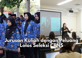 Wow, Ada Kesempatan Bagus Depan Mata! Berikut Ini Beberapa Pilihan Jurusan Kuliah dengan Peluang Besar Lolos Seleksi CPNS