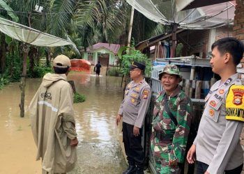 Puluhan Rumah dan Fasilitas Umum di Desa Tanjung Aur II Bengkulu Selatan Terendam Banjir