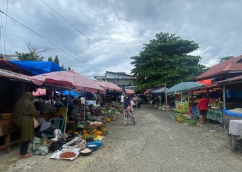 Harga Bawang Merah hingga Cabai di Bengkulu Selatan Naik, Tembus Rp50 Ribu per Kg