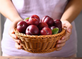 5 Kelompok Orang Ini Tidak Boleh Konsumsi Buah Plum, Siapa Saja? Salah Satunya Penderita Diabetes
