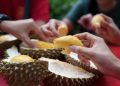 Ada 5 Jenis Buah Durian yang Populer di Indonesia, Kamu Suka yang Mana?