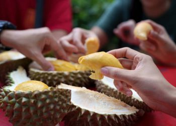 Ada 5 Jenis Buah Durian yang Populer di Indonesia, Kamu Suka yang Mana?