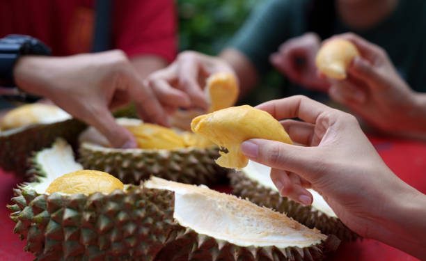 Ada 5 Jenis Buah Durian yang Populer di Indonesia, Kamu Suka yang Mana?