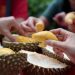 Ada 5 Jenis Buah Durian yang Populer di Indonesia, Kamu Suka yang Mana?