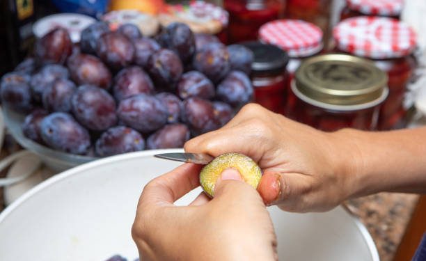 Kenali Risiko Efek Samping Konsumsi Buah Plum Secara Berlebihan, Ternyata Bisa Sebabkan Batu Ginjal