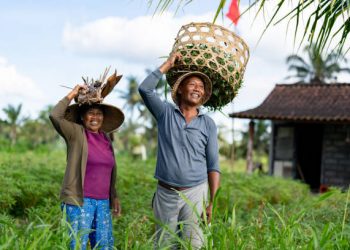 Simak Disini! Cara untuk Rayakan Hari Tani Nasional 2025