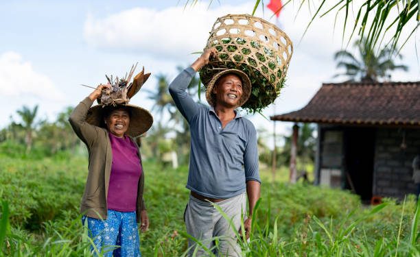 Simak Disini! Cara untuk Rayakan Hari Tani Nasional 2025