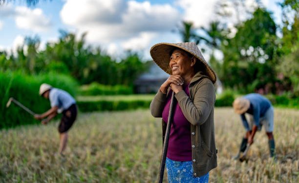 Bingung dengan Ucapan Hari Tani Nasional? Ini Rekomendasi yang Cocok Digunakan, Ada Kandungan Makna dan Doanya!