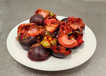 Dikenal dengan Julukan Ratu Buah! Klaim 5 Manfaat Istimewa Buah Manggis untuk Kesehatan