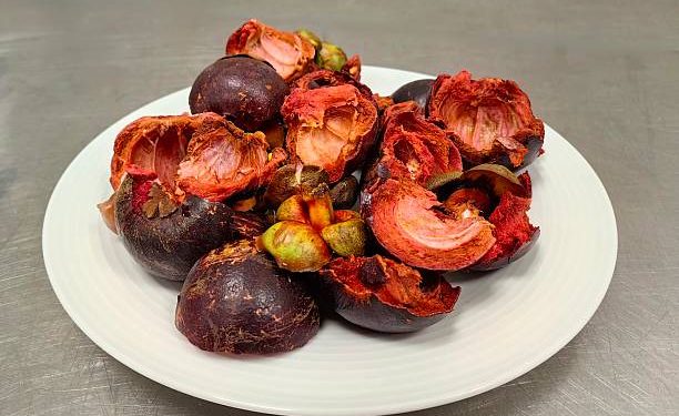 Dikenal dengan Julukan Ratu Buah! Klaim 5 Manfaat Istimewa Buah Manggis untuk Kesehatan