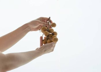 Konsumsi Secukupnya tanpa Berlebihan! Ini Efek Samping Buah Kelengkeng yang Jarang Diketahui