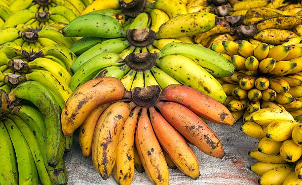 Populer di Indonesia! Inilah 10 Jenis Buah Pisang dengan Karakteristik Masing-masing